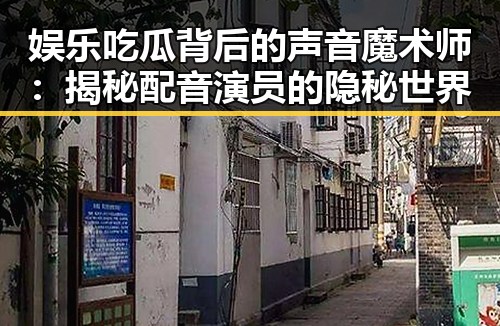 娱乐吃瓜背后的声音魔术师：揭秘配音演员的隐秘世界