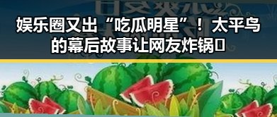 娱乐圈又出“吃瓜明星”！太平鸟的幕后故事让网友炸锅🔥