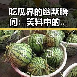吃瓜界的幽默瞬间：笑料中的深意与背后思考