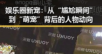 娱乐圈新宠：从“尴尬瞬间”到“萌宠”背后的人物动向