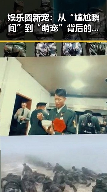 娱乐圈新宠：从“尴尬瞬间”到“萌宠”背后的人物动向