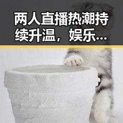 两人直播热潮持续升温，娱乐圈新玩法引发关注